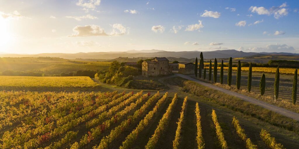 MONTALCINO AND BOLGHERI