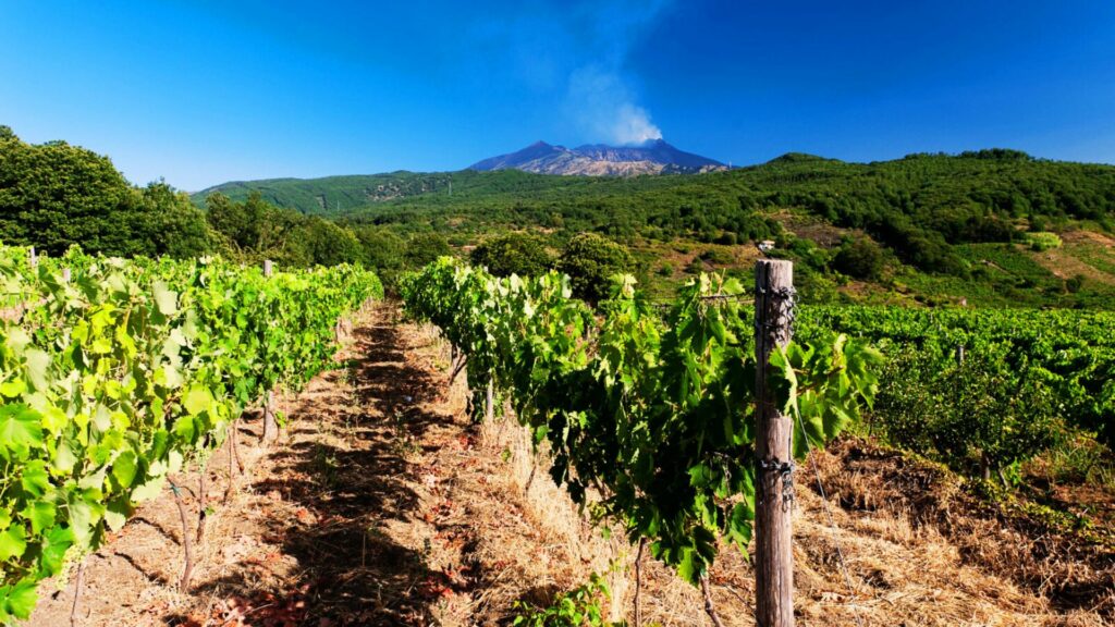 ETNA